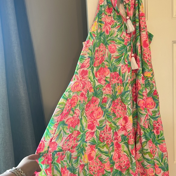 Lily Pulitzer Caroline dress - Picture 3 of 3